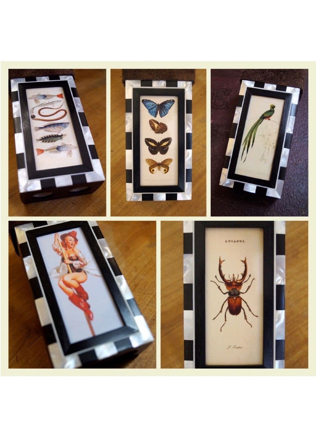 image d'illustration